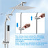Dual Shower Head Combo with 10-Inch High Pressure Rainfall Shower and Slide Bar