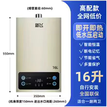 Household Gas Water Heater Constant Temperature Strong Exhaust Pressurized