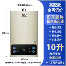 Household Gas Water Heater Constant Temperature Strong Exhaust Pressurized