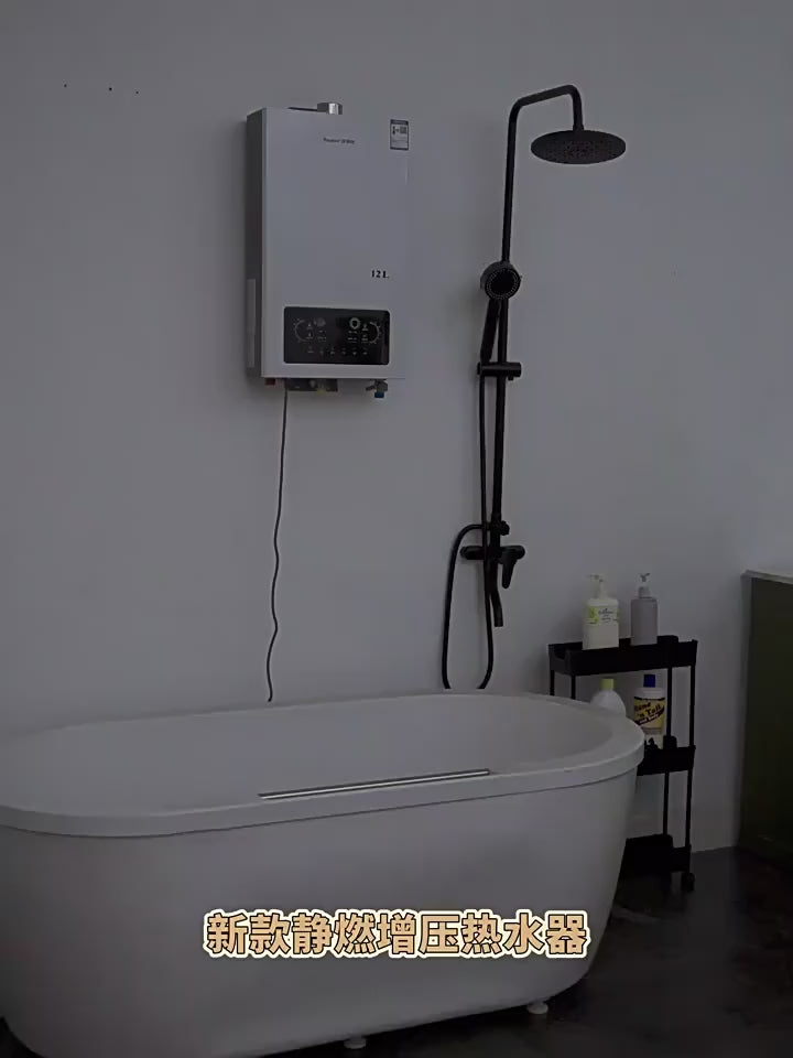 Household Gas Water Heater Constant Temperature Forced Exhaust