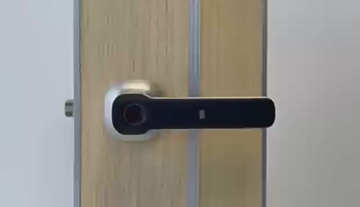 Smart Hand Lock for Front Doors Fingerprint Key Access Card Unlocking Tuya APP Remote